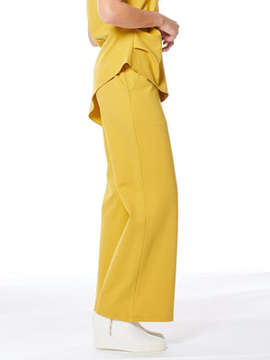 Spanx Wide Leg Pants With Elastic Back